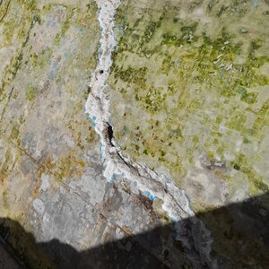 Révolution piscine + création d'un escalier intérieur 17.41.09 (2)