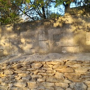 WhatsApp Image 2024-02-06 at 17.48.04 (1)