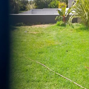 Rénovation de piscine débordement 2024-10-13 at 14.33.00 (1)