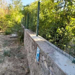 Pose de clôture souple, sur mur de clôture 2024-10-13 at 14.39.01